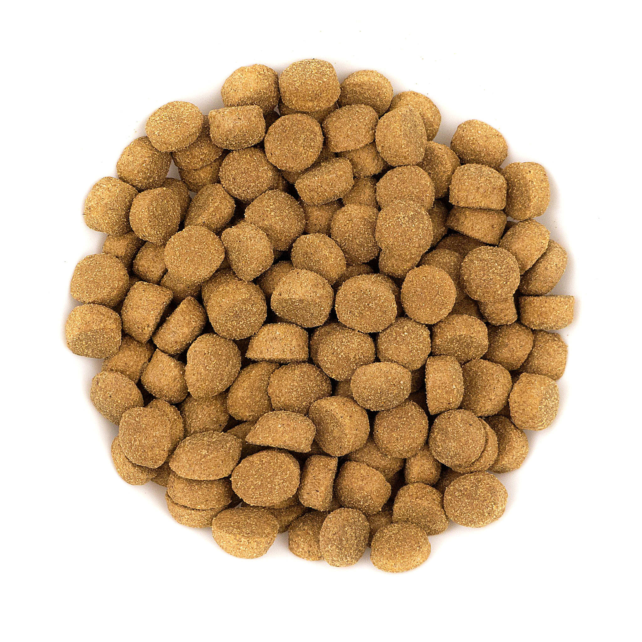 Avantis Atlantic Fish kibble