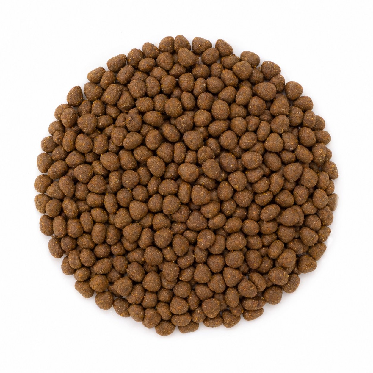 Avantis Cats kibble